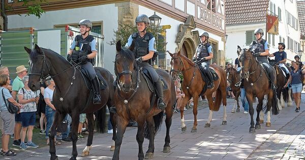 Pferde im Umzug – bei Zuschauern beliebt, Tierrechtsorganisationen aber ein Dorn im Auge. Pferde im Umzug – bei Zuschauern beliebt, Tierrechtsorganisationen aber ein Dorn im Auge.