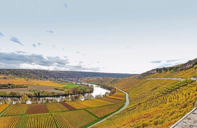 Bald kommt auch am Käsberg in Mundelsheim der Herbst. Noch geben die Rebflächen ein weitgehend geschlossenes Bild ab (Archivfoto Bald kommt auch am Käsberg in Mundelsheim der Herbst. Noch geben die Rebflächen ein weitgehend geschlossenes Bild ab (Archivfoto).