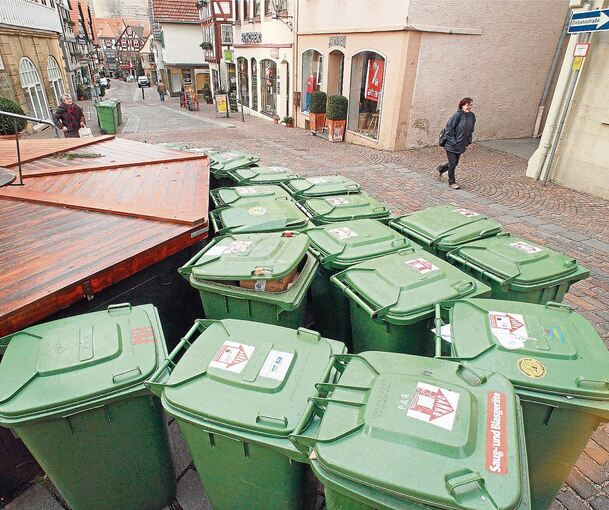 Müllabfuhr: Bürger im Landkreis Ludwigsburg bleiben auf ihrem