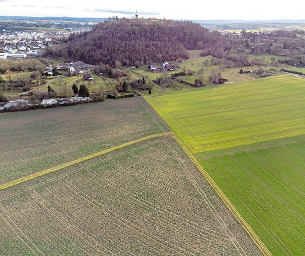 Mit der Landeserstaufnahmestelle würden wohl alle Felder, die hier fast bis an den Hohenasperg reichen, überbaut werden. Foto: Holm Wolschendorf