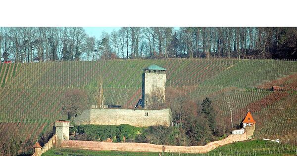 Wer wird die Stadt unter dem Langhans künftig führen? Wer wird die Stadt unter dem Langhans künftig führen?