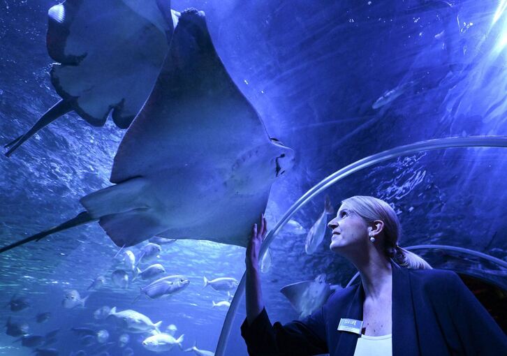 Wiedereröffnung des Sealife Aquariums Wiedereröffnung des Sealife Aquariums