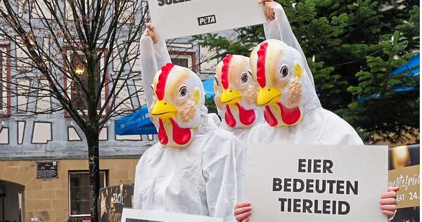 Protest vor dem Oberstenfelder Rathaus: Peta-Aktivisten machen Stimmung gegen den geplanten Hühnerstall auf dem Lichtenberg. Protest vor dem Oberstenfelder Rathaus: Peta-Aktivisten machen Stimmung gegen den geplanten Hühnerstall auf dem Lichtenberg.
