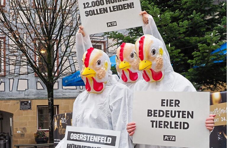 Protest vor dem Oberstenfelder Rathaus: Peta-Aktivisten machen Stimmung gegen den geplanten Hühnerstall auf dem Lichtenberg. Protest vor dem Oberstenfelder Rathaus: Peta-Aktivisten machen Stimmung gegen den geplanten Hühnerstall auf dem Lichtenberg.