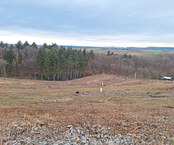 Komplett gerodet: Dieses Foto zeigt die Deponie am Lemberg vor ein paar Wochen. Foto: AVL Ludwigsburg/p