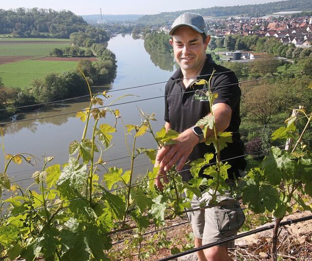 Daniel Rupp in seinem Weinberg, hoch über dem Neckar.