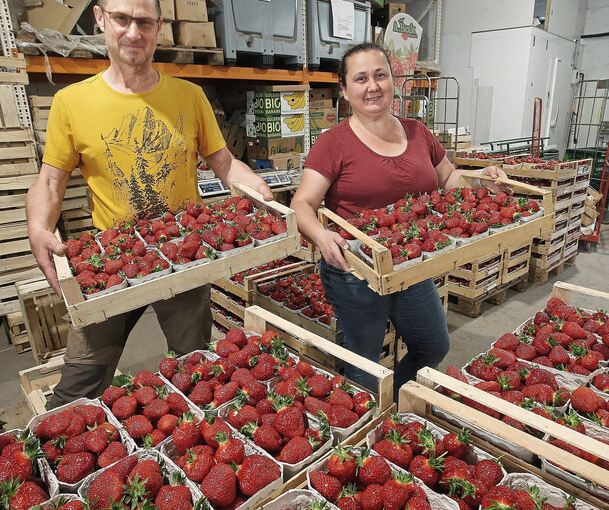 Andreas Beck und seine Frau Anna sind mitten in der Erdbeersaison.