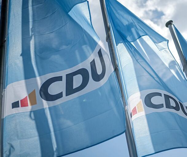 In der Kommunalwahl in Ludwigsburg landet die CDU hinter den Grünen.