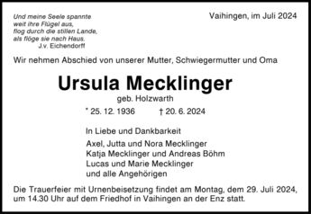 1625188(1-1)/Mecklinger