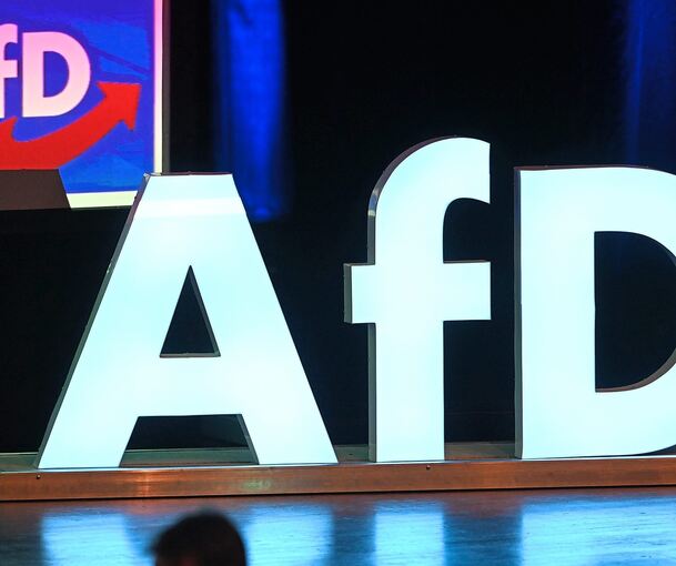 AfD-Logo: Die Partei hat es mit zwei Mandaten in den Ditzinger Gemeinderat geschafft.