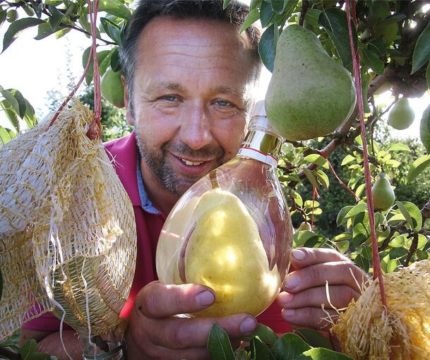 Meik Sartorius begutachtet seinen „Flaschenbaum“ mit den im Glas wachsenden Birnen.