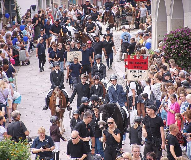 Viele Pferde werden im Festzug mitgeführt, darunter auch welche mit dekorativem Zaumzeug.