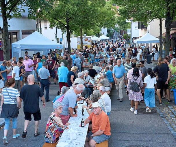 Mächtig was los war in der Ortsmitte von Erdmannhausen beim ersten Straßenkulturfestival, bei dem insgesamt 52 Musiker ganz unterschiedliche Stilrichtungen darboten.