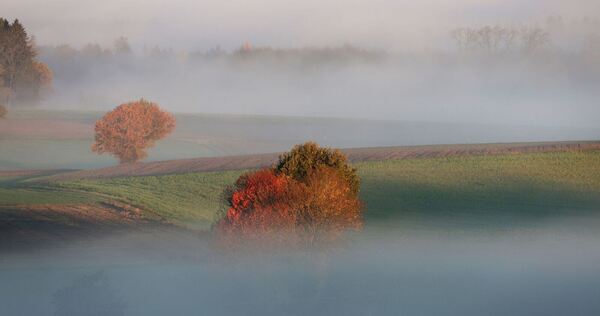 Wetter in Baden-Württemberg Wetter in Baden-Württemberg