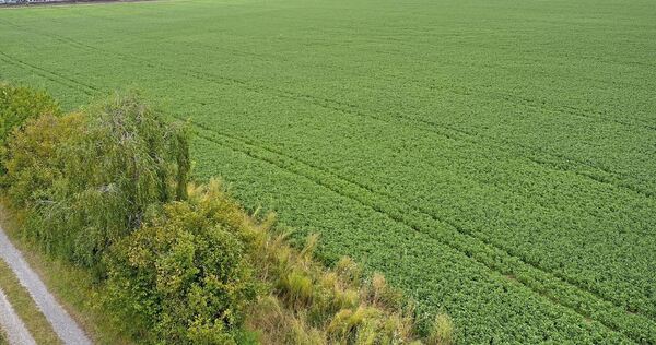 „Die Gefahr ist groß, dass, sobald der Fuß auf den Schanzacker gesetzt ist, anschließend eine massive Ausweitung erfolgt“, heißt „Die Gefahr ist groß, dass, sobald der Fuß auf den Schanzacker gesetzt ist, anschließend eine massive Ausweitung erfolgt“, heißt es in dem Statement.“
