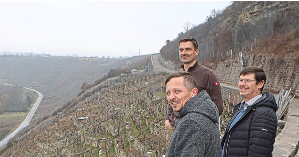 Der Erhalt der Steillagen am Wurmberg liegt ihnen besonders am Herzen: Marc Müller, Fabian Lassak und Michael Eisele (von links) Der Erhalt der Steillagen am Wurmberg liegt ihnen besonders am Herzen: Marc Müller, Fabian Lassak und Michael Eisele (von links).