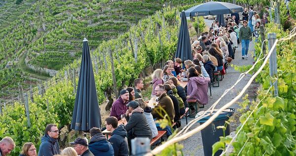 Das Käsbergfest in Mundelsheim lockt mit einem tollen Blick auf die Weinberglandschaft der Neckarschleife. Das Käsbergfest in Mundelsheim lockt mit einem tollen Blick auf die Weinberglandschaft der Neckarschleife.