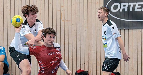 Bereits Meister: Nils Skalicky (vorne) und die HB Ludwigsburg. Bereits Meister: Nils Skalicky (vorne) und die HB Ludwigsburg.