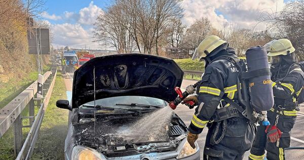 Die Möglinger Feuerwehr löschte den Brand endgültig. Die Möglinger Feuerwehr löschte den Brand endgültig.