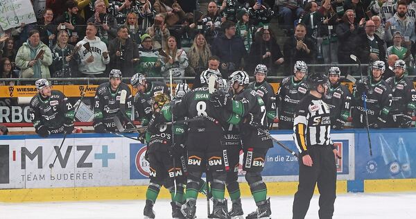 Heimsieg für die Bietigheim Steelers. Heimsieg für die Bietigheim Steelers.