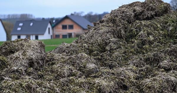 Misthaufen vor Häusern Misthaufen vor Häusern