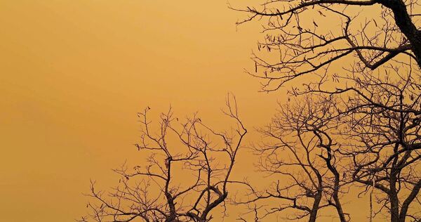 So orange wie in diesem Bild aus Frankreich ist es im Landkreis Ludwigsburg nicht – und das hat einen Grund. So orange wie in diesem Bild aus Frankreich ist es im Landkreis Ludwigsburg nicht – und das hat einen Grund.