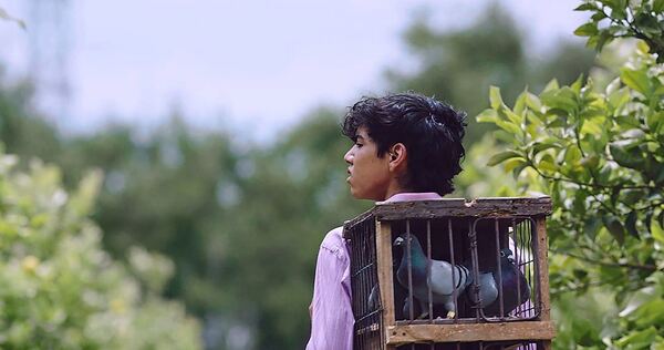 Sechs uruguayische Produktionen finden sich im Programm: „Siempre Vuelven“ von Sergio de León illustriert, dass auch kleine, uns Sechs uruguayische Produktionen finden sich im Programm: „Siempre Vuelven“ von Sergio de León illustriert, dass auch kleine, unscheinbare Tiere wie Tauben von großer Bedeutung sein können.