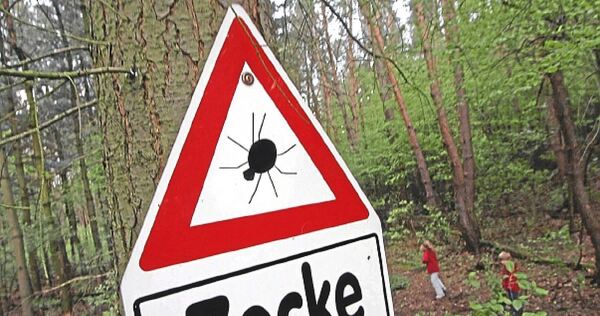 Warnung vor Zecken: Jetzt sollte man besonders aufmerksam sein. Warnung vor Zecken: Jetzt sollte man besonders aufmerksam sein.
