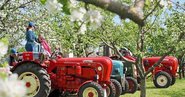 Das schöne Wetter lockte die Eigentümer mit ihren Schätzchen nach Neckarrems. Das schöne Wetter lockte die Eigentümer mit ihren Schätzchen nach Neckarrems.