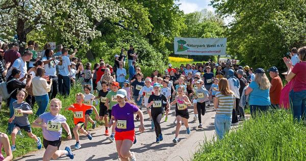 Über 300 Läufer sind am Sonntag beim Strombergstraßenlauf dabei. Über 300 Läufer sind am Sonntag beim Strombergstraßenlauf dabei.