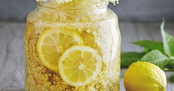 Holunderblütensirup – einfach hergestellt und ein echtes Sommerhighlight. Holunderblütensirup – einfach hergestellt und ein echtes Sommerhighlight.