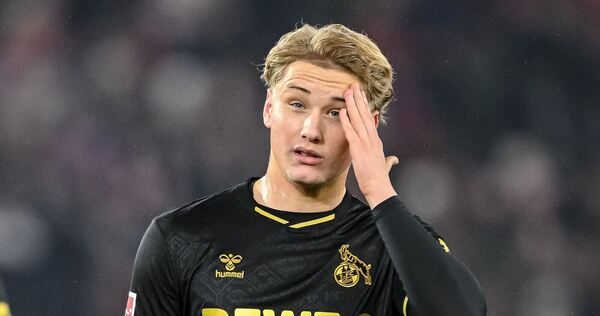Finn Schenten Finn Schenten