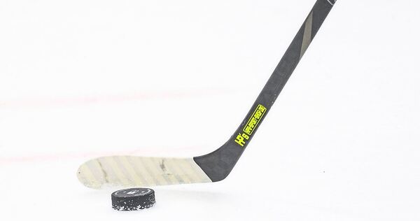Die Bietigheim Steelers haben ihren nächsten Zugang vermeldet. Die Bietigheim Steelers haben ihren nächsten Zugang vermeldet.