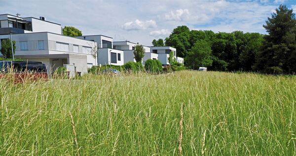 Diese Grünfläche bringt der Stadt Ludwigsburg Millionen ein. In der Caerphillystraße in Grünbühl-Sonnenberg werden Baugrundstück Diese Grünfläche bringt der Stadt Ludwigsburg Millionen ein. In der Caerphillystraße in Grünbühl-Sonnenberg werden Baugrundstücke nach Höchstgebot verkauft.
