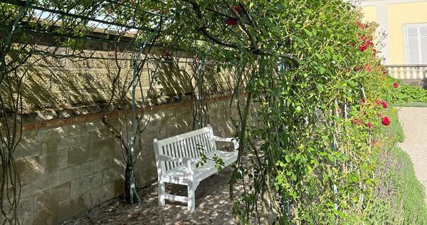 Im Friedrichsgarten kann man es sich unter Rosen gemütlich machen. Im Friedrichsgarten kann man es sich unter Rosen gemütlich machen.