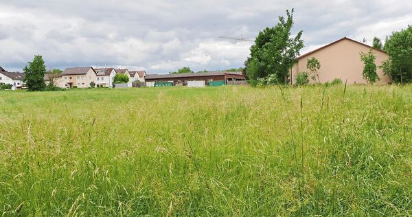 Heute noch Wiese: Direkt an der Grenze zu Besigheim will die Gemeinde Gemmrigheim ein Gewerbegebiet bauen. Foto: Holm Wolschendo Heute noch Wiese: Direkt an der Grenze zu Besigheim will die Gemeinde Gemmrigheim ein Gewerbegebiet bauen.