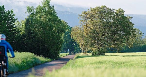 Ein Radfahrer ist von einem Fußgänger geschlagen worden. Ein Radfahrer ist von einem Fußgänger geschlagen worden.