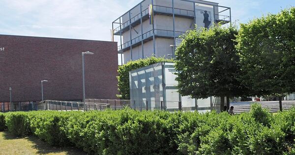 An mehreren Stellen in Ludwigsburg gibt es Buchsbäume. Hier zum Beispiel am Akademiehof. An mehreren Stellen in Ludwigsburg gibt es Buchsbäume. Hier zum Beispiel am Akademiehof.