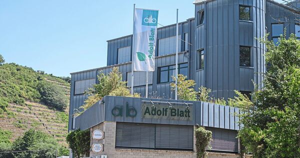 Der Unternehmenssitz von Adolf Blatt in Kirchheim: Die Firma wird ihre beiden Betonwerke am Neckar schließen. Der Unternehmenssitz von Adolf Blatt in Kirchheim: Die Firma wird ihre beiden Betonwerke am Neckar schließen.