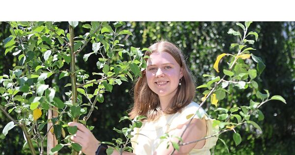 Das Apfelbäumchen ist der sehr besondere Abschluss der Jahresarbeit von Louisa Glemser (17) zum Thema „Nationalsozialismus in Sa Das Apfelbäumchen ist der sehr besondere Abschluss der Jahresarbeit von Louisa Glemser (17) zum Thema „Nationalsozialismus in Sachsenheim“.