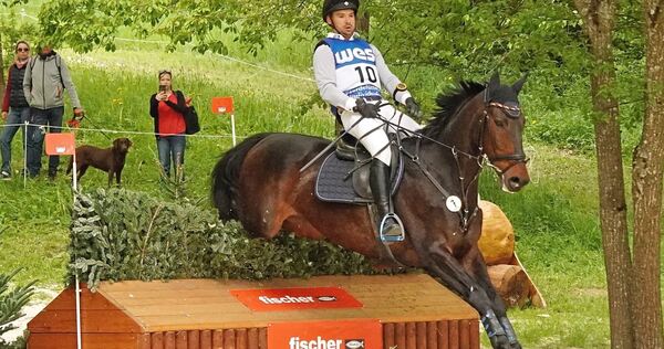 Turnierauftritte sorgsam dosieren: Lunis Weiß hat sein Pferd Astrello vor der WM geschont. Foto: Maja Tschepe/ Turnierauftritte sorgsam dosieren: Lunis Weiß hat sein Pferd Astrello vor der WM geschont.