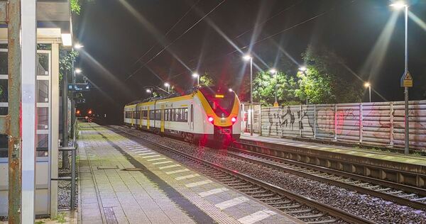 Bahn-Sicherheitsmann stürzt aus Zug Bahn-Sicherheitsmann stürzt aus Zug