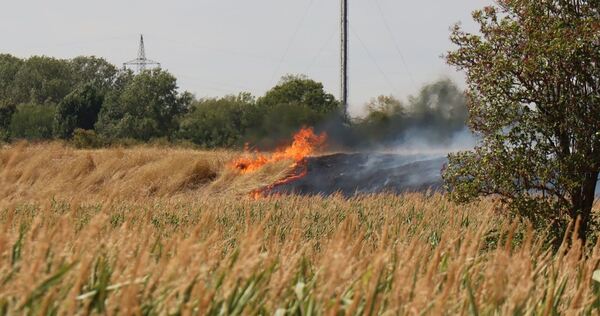 Flächenbrand in Mannheim-Neckarstadt Flächenbrand in Mannheim-Neckarstadt