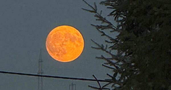 Bereits am Dienstagabend war der große Mond über Freiberg zu sehen. Bereits am Dienstagabend war der große Mond über Freiberg zu sehen.