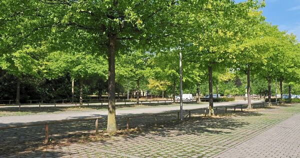 Blick auf den großen Parkplatz der Domäne Monrepos. Ab 1. August wird das Parken dort kostenpflichtig. Blick auf den großen Parkplatz der Domäne Monrepos. Ab 1. August wird das Parken dort kostenpflichtig.
