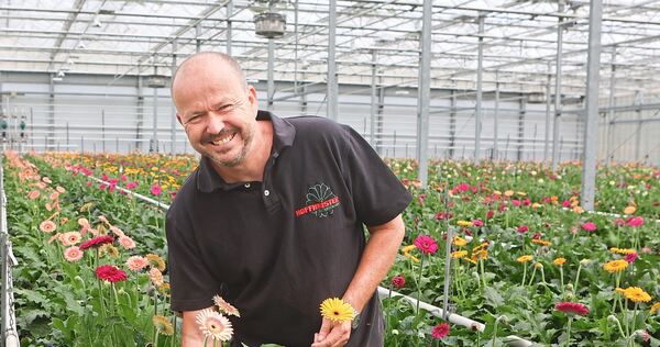 In einem Meer aus Gerbera-Pflanzen: Adrian Hoffmeister in einem seiner Gewächshäuser in der Aldinger Straße. In einem Meer aus Gerbera-Pflanzen: Adrian Hoffmeister in einem seiner Gewächshäuser in der Aldinger Straße.
