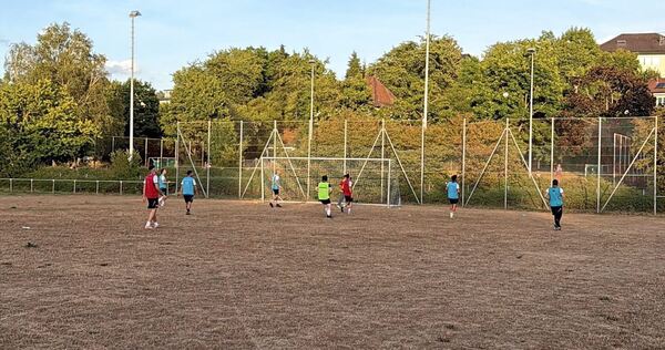 Einen grünen Grashalm sucht man auf dem Sportplatz des FV Oberstenfeld vergeblich. Einen grünen Grashalm sucht man auf dem Sportplatz des FV Oberstenfeld vergeblich.