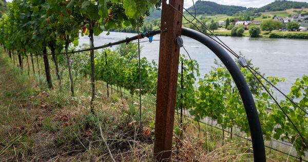 Trockenheit an den Steilhängen Trockenheit an den Steilhängen
