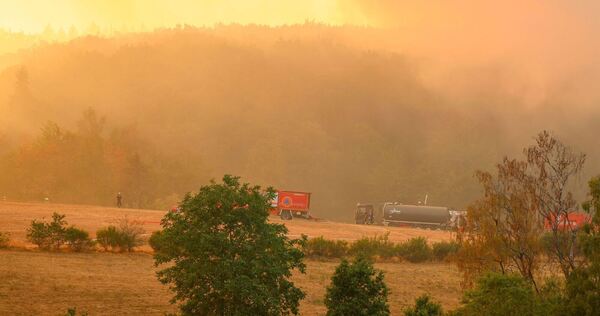 Waldbrand im Hürtgenwald Waldbrand im Hürtgenwald