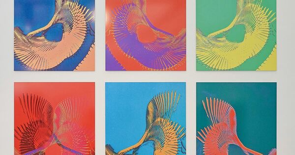 Mut zur kunstvollen Abstraktion: Viele Arbeiten Reiner Michelfelders waren schwarz-weiß gehalten – diese hier wurde im Nachgang Mut zur kunstvollen Abstraktion: Viele Arbeiten Reiner Michelfelders waren schwarz-weiß gehalten – diese hier wurde im Nachgang koloriert.